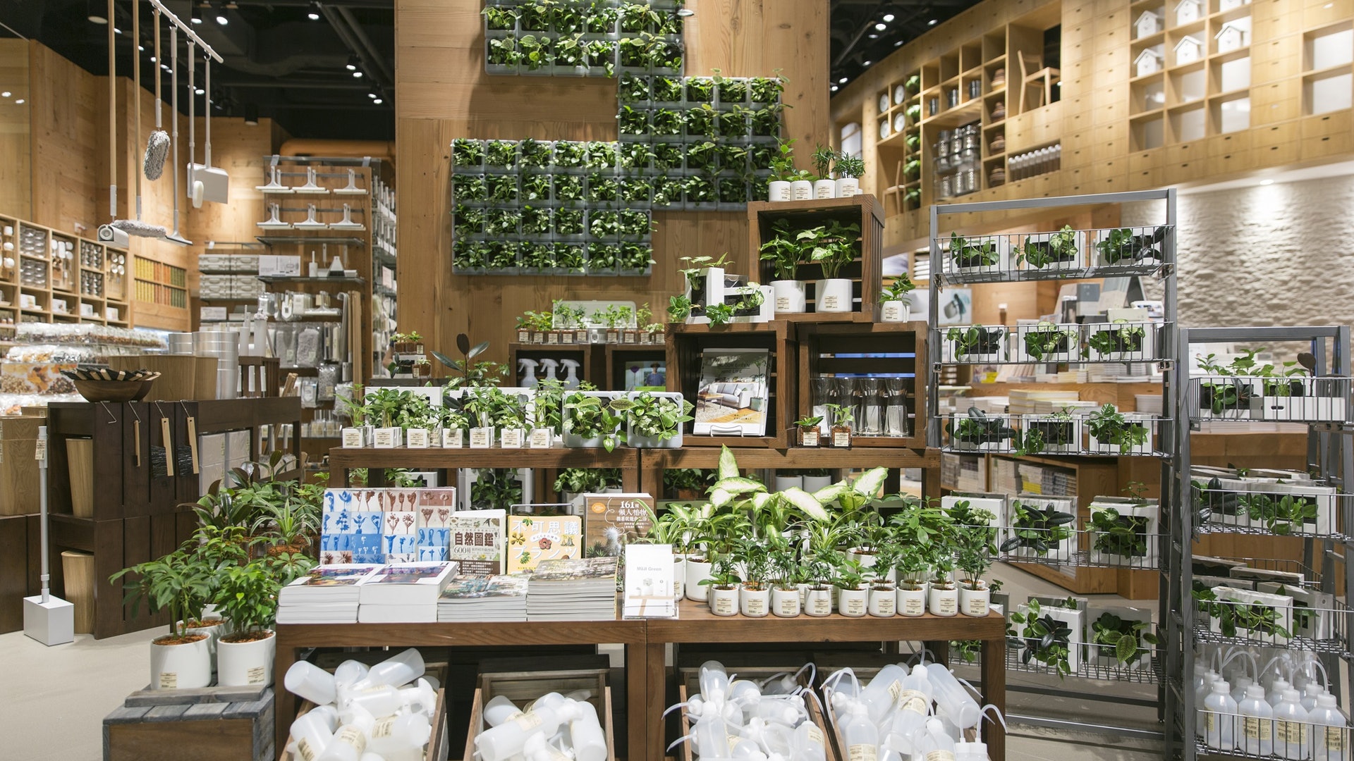 すべての美しい花の画像 綺麗な無印 良品 植物 すべての美しい花の画像 綺麗な無印 良品 植物