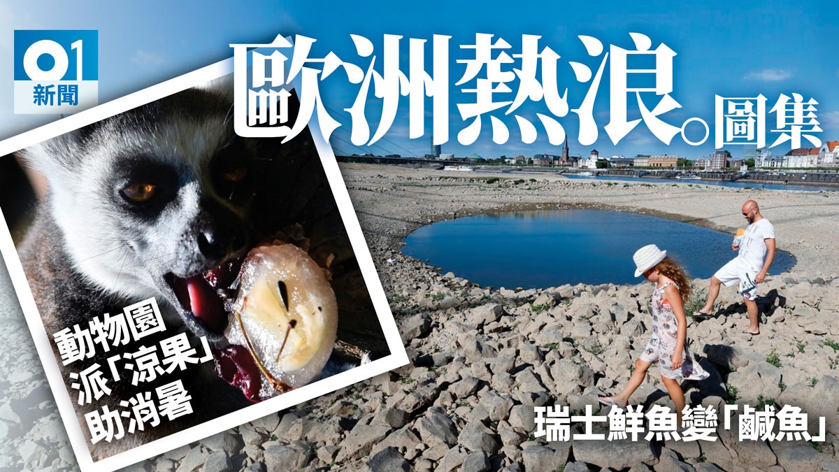 【圖輯】熱浪下的反常歐洲：冰山變矮了、薯仔變小、動物要消暑