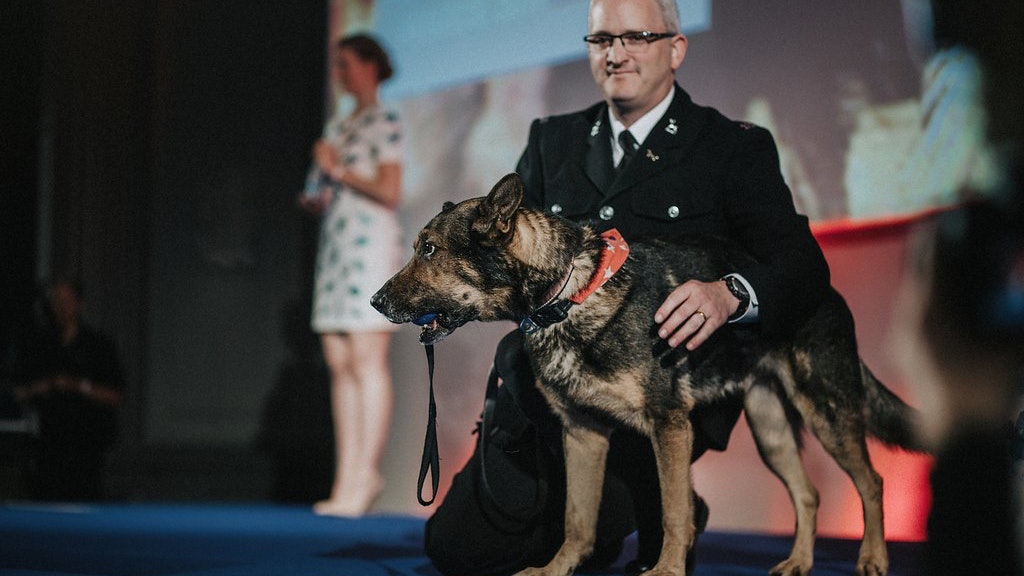 神之警犬捨身擋刀 拯救軍官 榮獲英雄狗狗大獎 神之警犬捨身擋刀 拯救軍官 榮獲英雄狗狗大獎