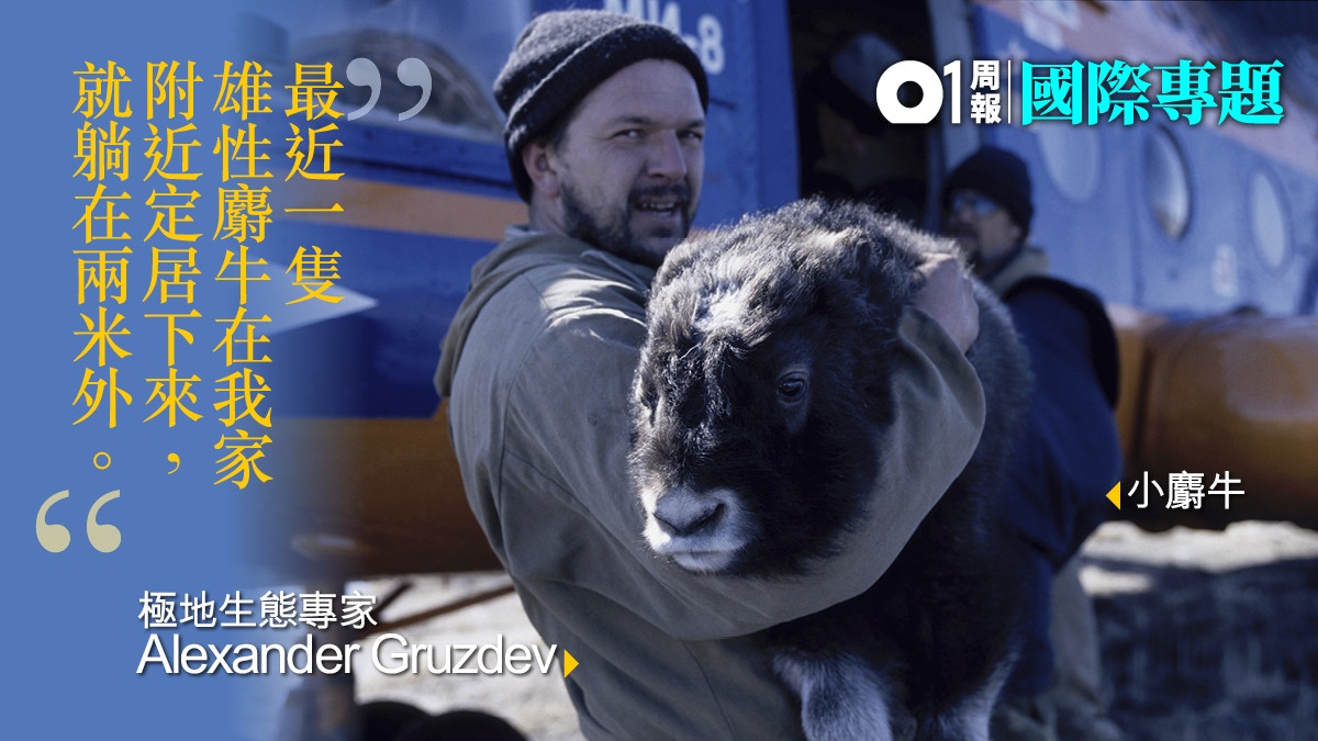 【01專訪】俄羅斯北極生態專家 分享最美麗的極地奇遇