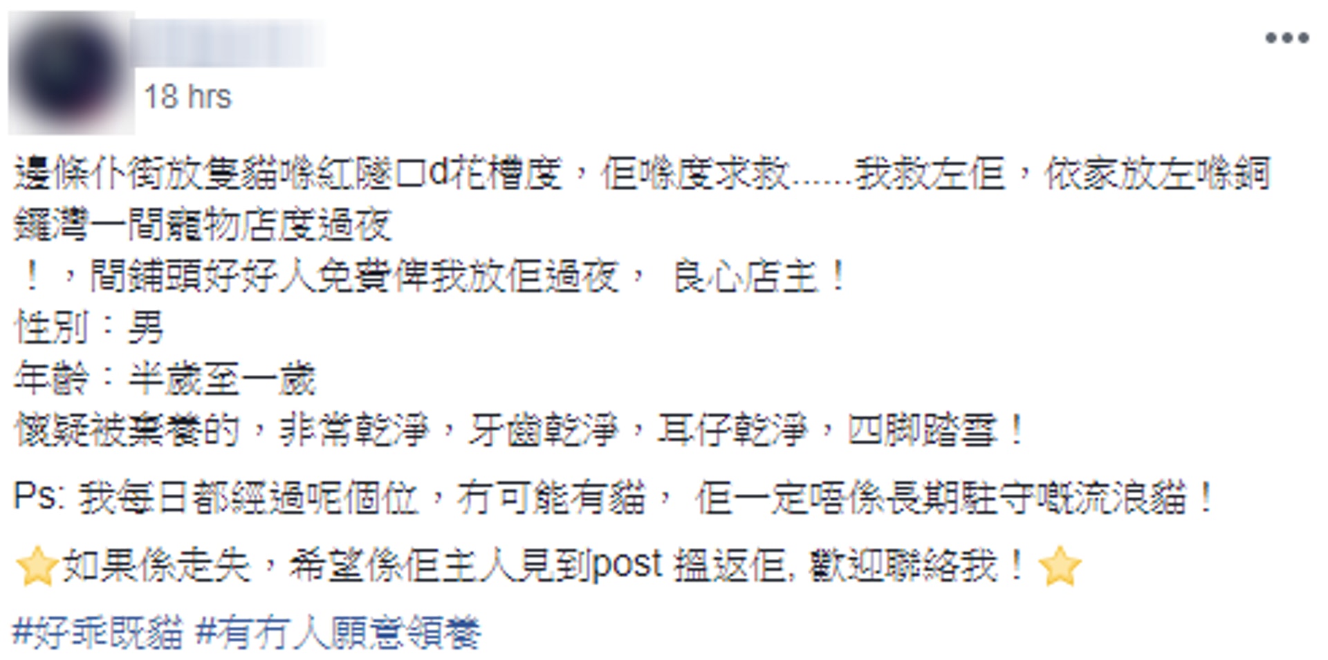 廖先生昨夜發文表示遇到小貓。(Facebook截圖) 廖先生昨夜發文表示遇到小貓。(Facebook截圖)