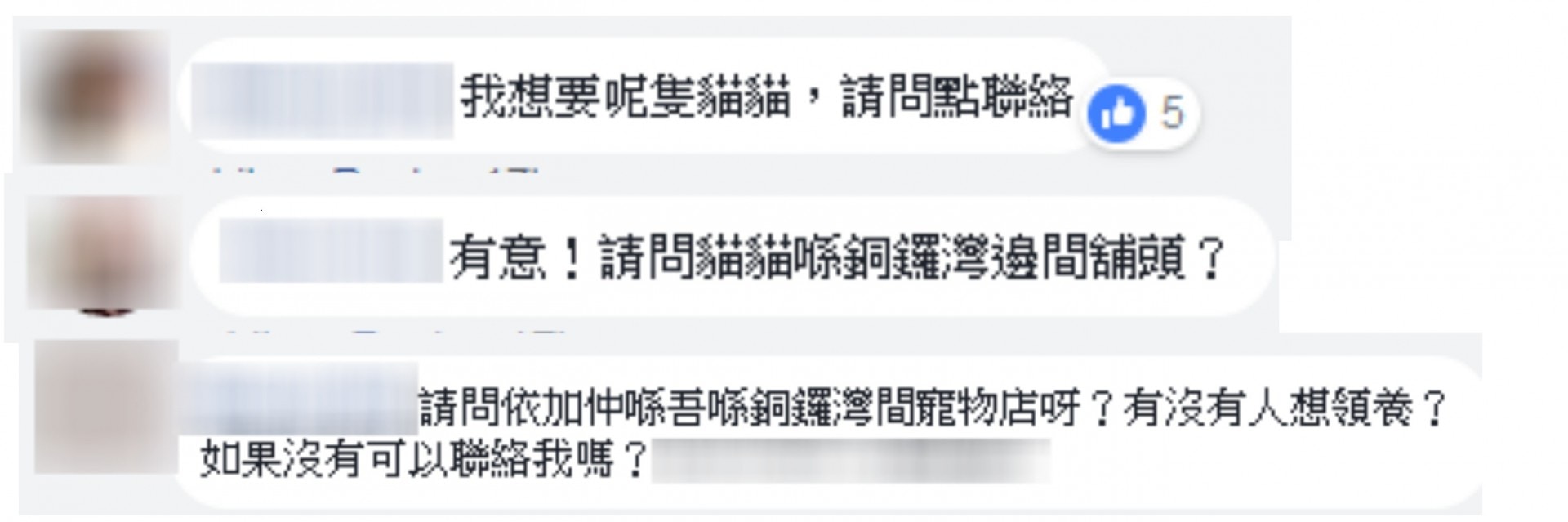 不少熱心網民收養小貓。(Facebook截圖) 不少熱心網民收養小貓。(Facebook截圖)