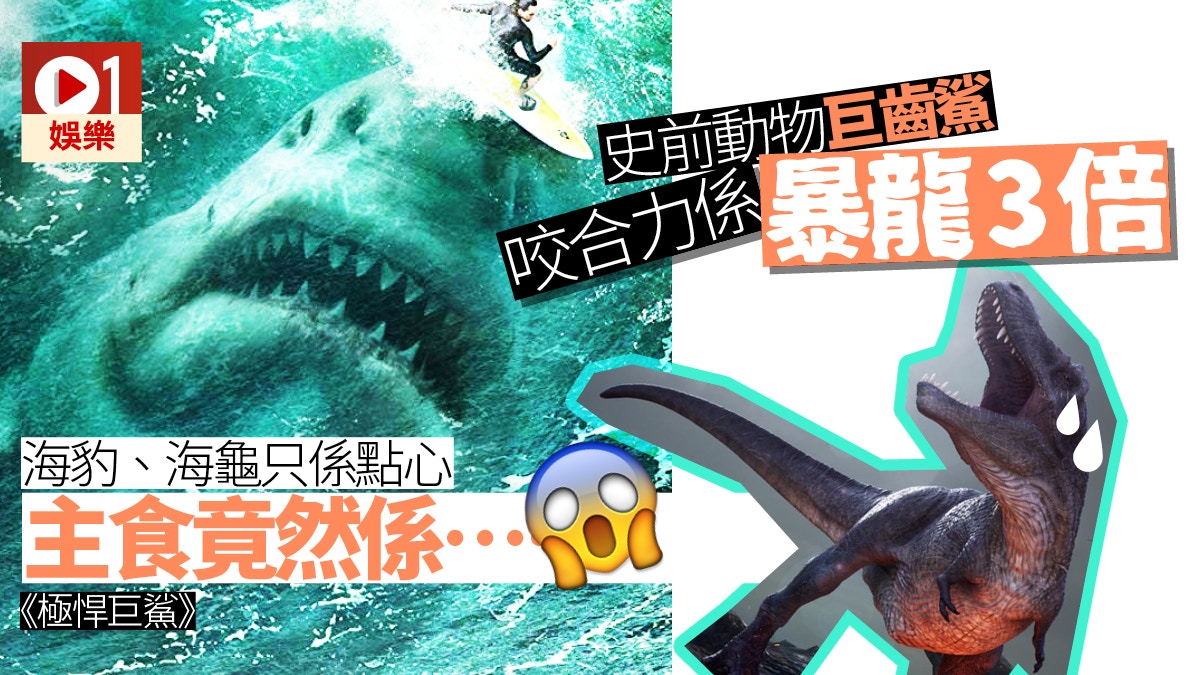 極悍巨鯊 巨齒鯊咬合力驚人比陸上最強暴龍大力3倍以上 香港01 電影