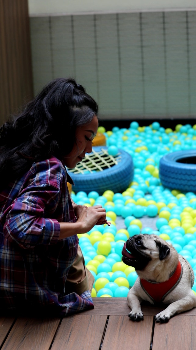 Sherman不時會與及及到外玩耍。(黃樂怡攝) Sherman不時會與及及到外玩耍。(黃樂怡攝)