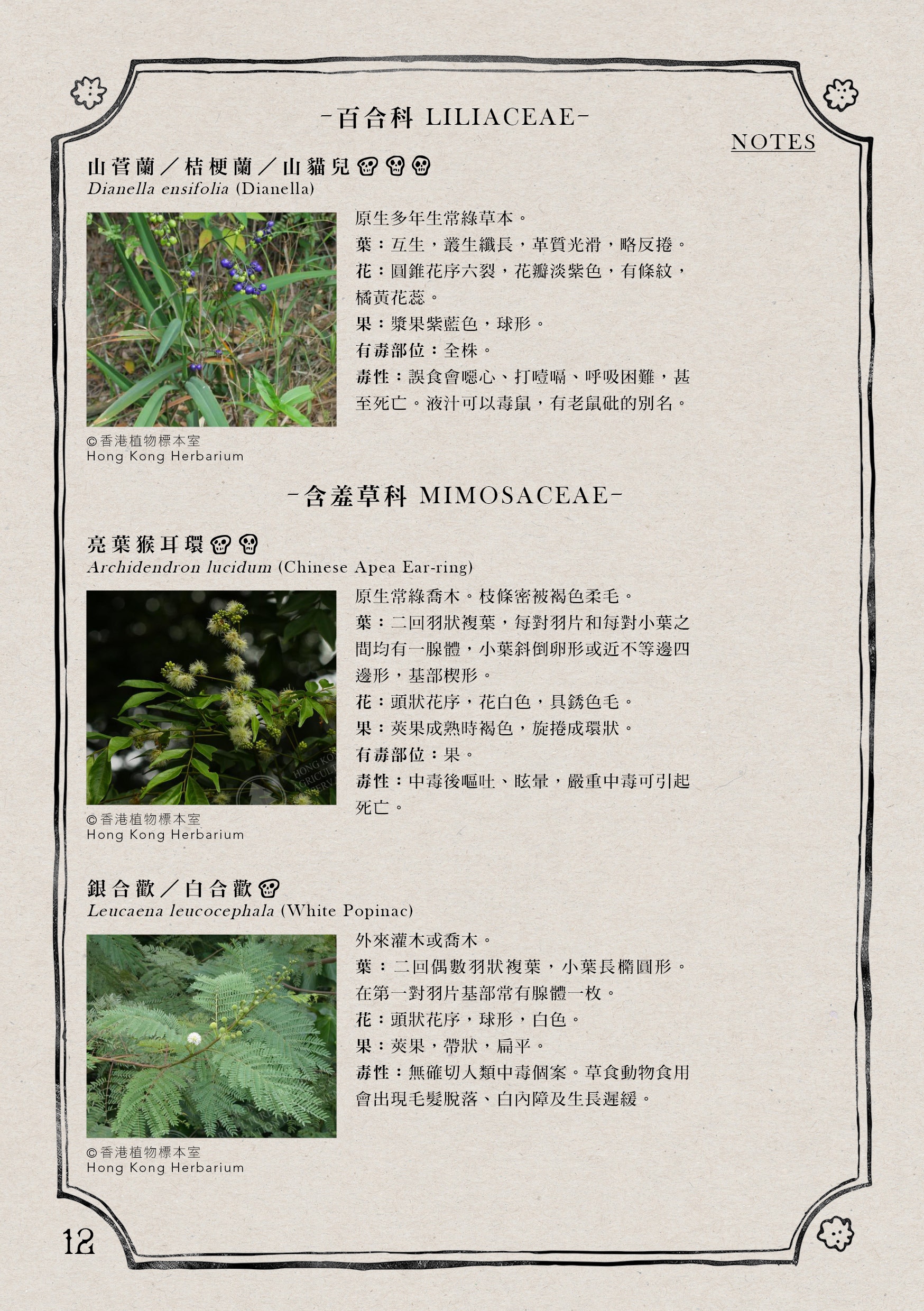 港大神農氏 大學生編本土有毒植物指南 行山唔好識少少扮代表 香港01 社區專題