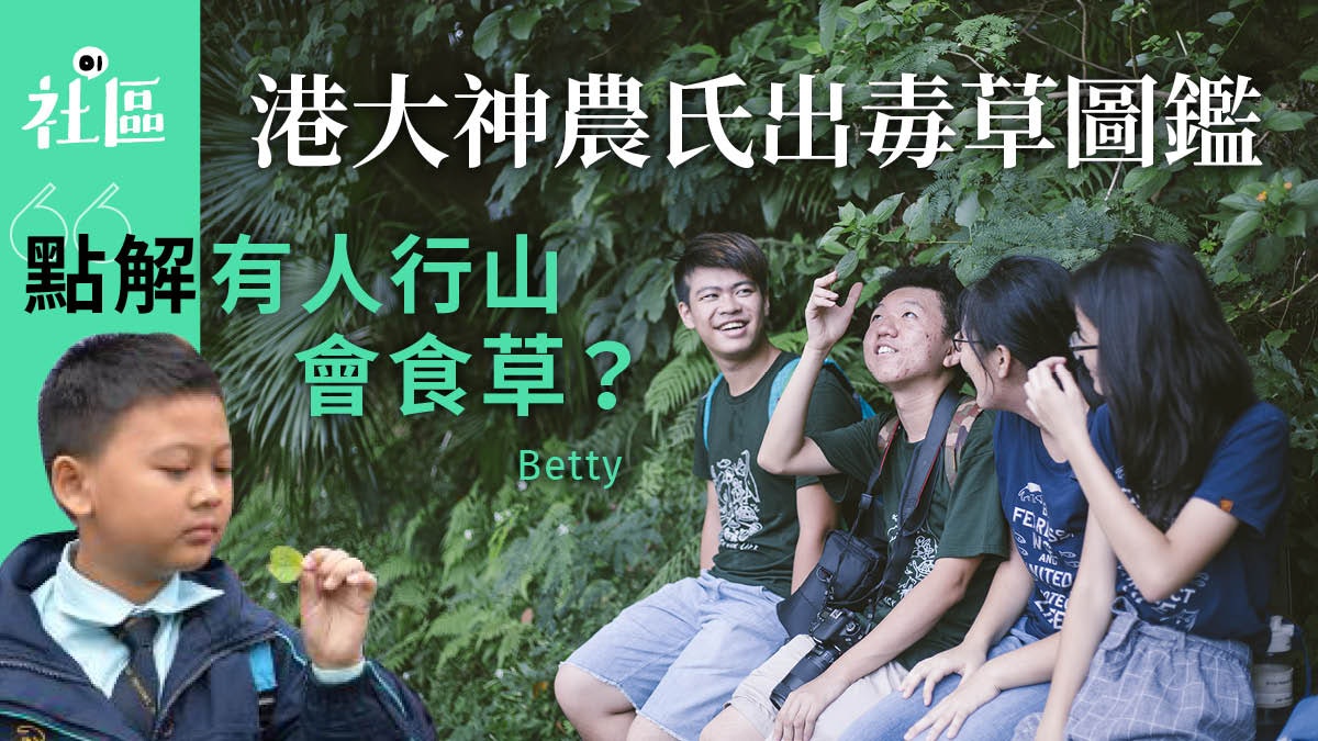 【港大神農氏】大學生編本土有毒植物指南:行山唔好識少少扮代表 【港大神農氏】大學生編本土有毒植物指南:行山唔好識少少扮代表
