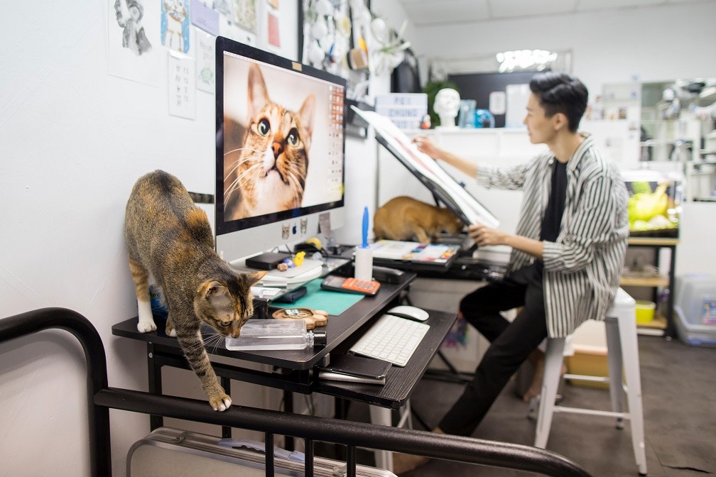 皮忠的工作室由他一個變成他們三個,充滿着活潑氣息。﹙羅國輝攝﹚ 皮忠的工作室由他一個變成他們三個,充滿着活潑氣息。﹙羅國輝攝﹚