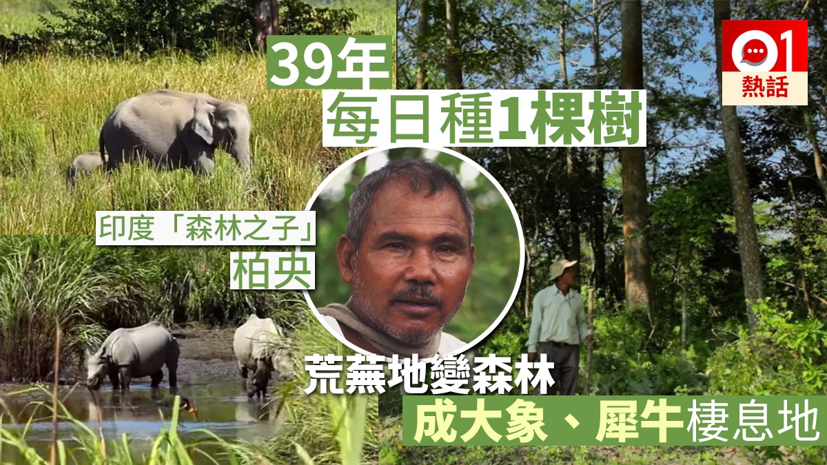 每日種1棵樹　印度荒蕪地39年後變森林　森林男：種到我死為止