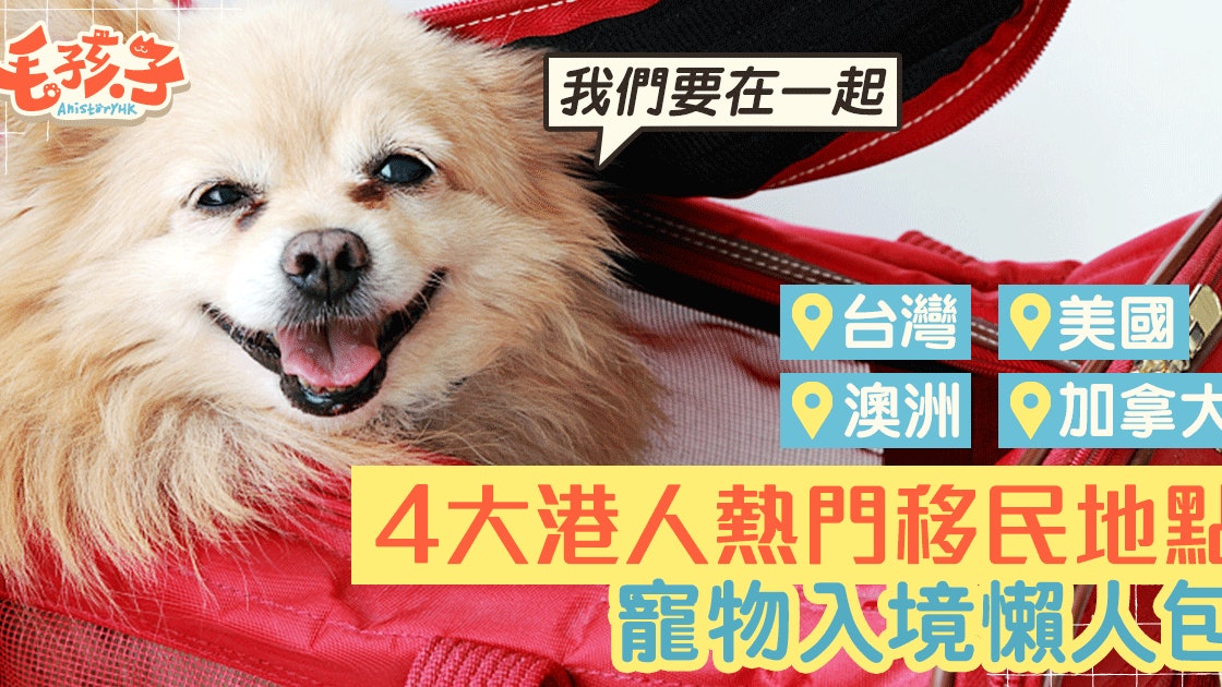 寵物移民 寵物一定要坐移民監 4大熱門地寵物入境指南 香港01 寵物