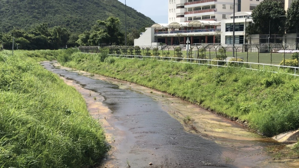 黃偉綸 東涌新市鎮擴展建河畔公園設觀鳥屋 步行徑 蝴蝶花園 香港01 社會新聞