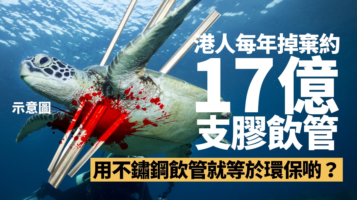 海龜吸入的塑膠飲管變不鏽鋼飲管? 「綠色消費主義」同樣不環保 海龜吸入的塑膠飲管變不鏽鋼飲管? 「綠色消費主義」同樣不環保