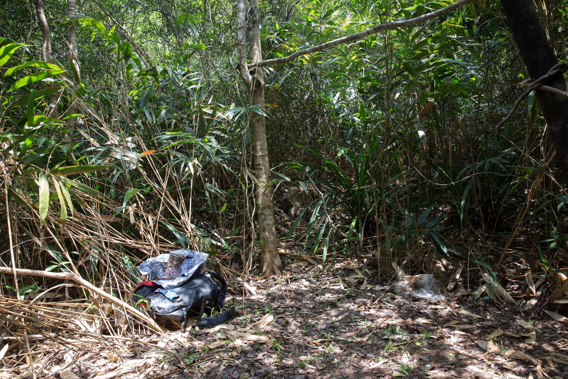 郊野公園溪澗附近的一個隱閉位置竟然出現背包、紅白藍膠袋等物資,疑是捉龜之人留下。(林若勤攝) 郊野公園溪澗附近的一個隱閉位置竟然出現背包、紅白藍膠袋等物資,疑是捉龜之人留下。(林若勤攝)