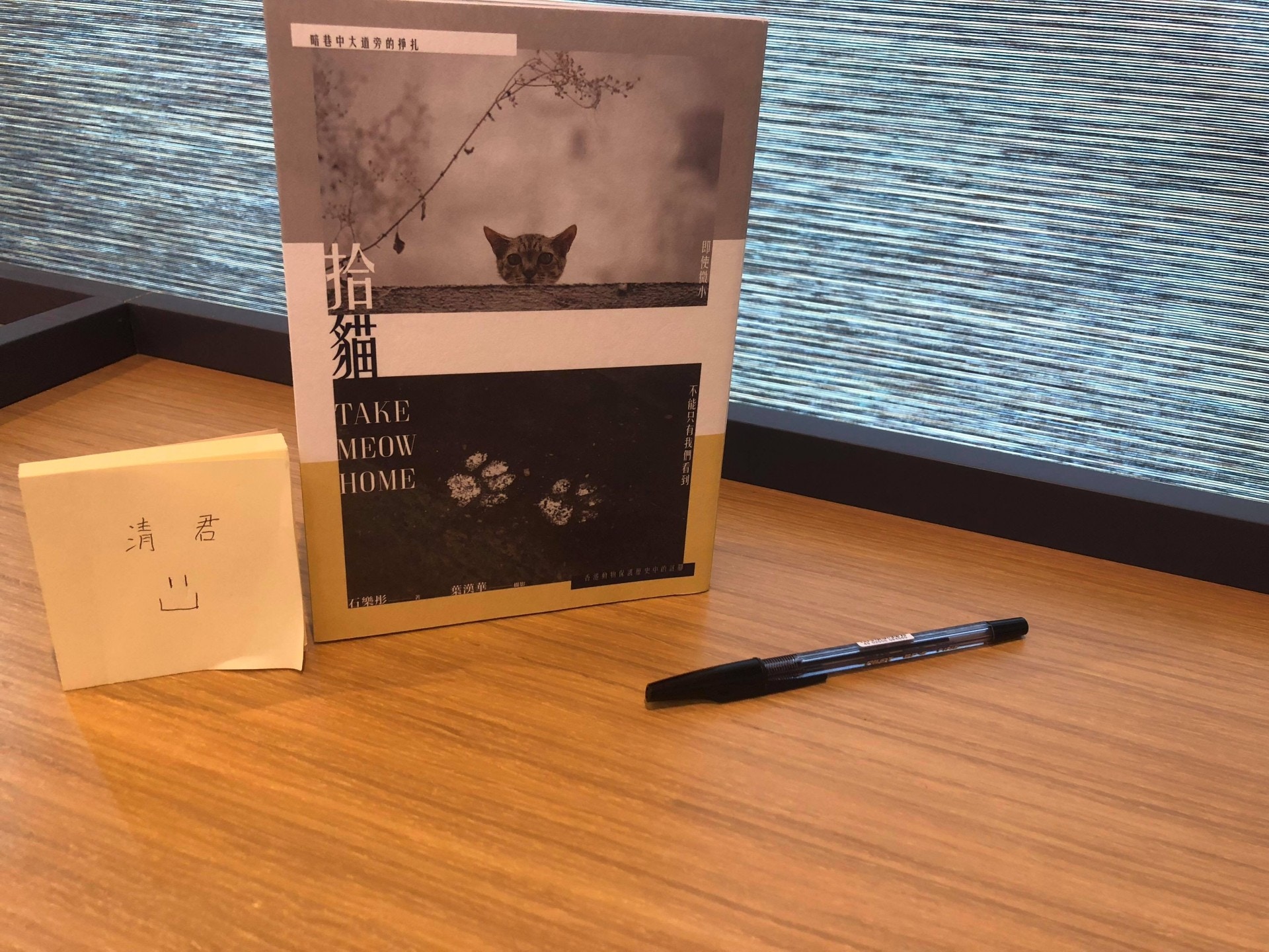 《拾貓》封面(攝影:清君) 《拾貓》封面(攝影:清君)