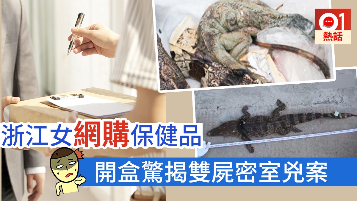 【恐怖包裹】網購保健品被嚇傻 浙江女開盒驚見死鱷死蜥 【恐怖包裹】網購保健品被嚇傻 浙江女開盒驚見死鱷死蜥