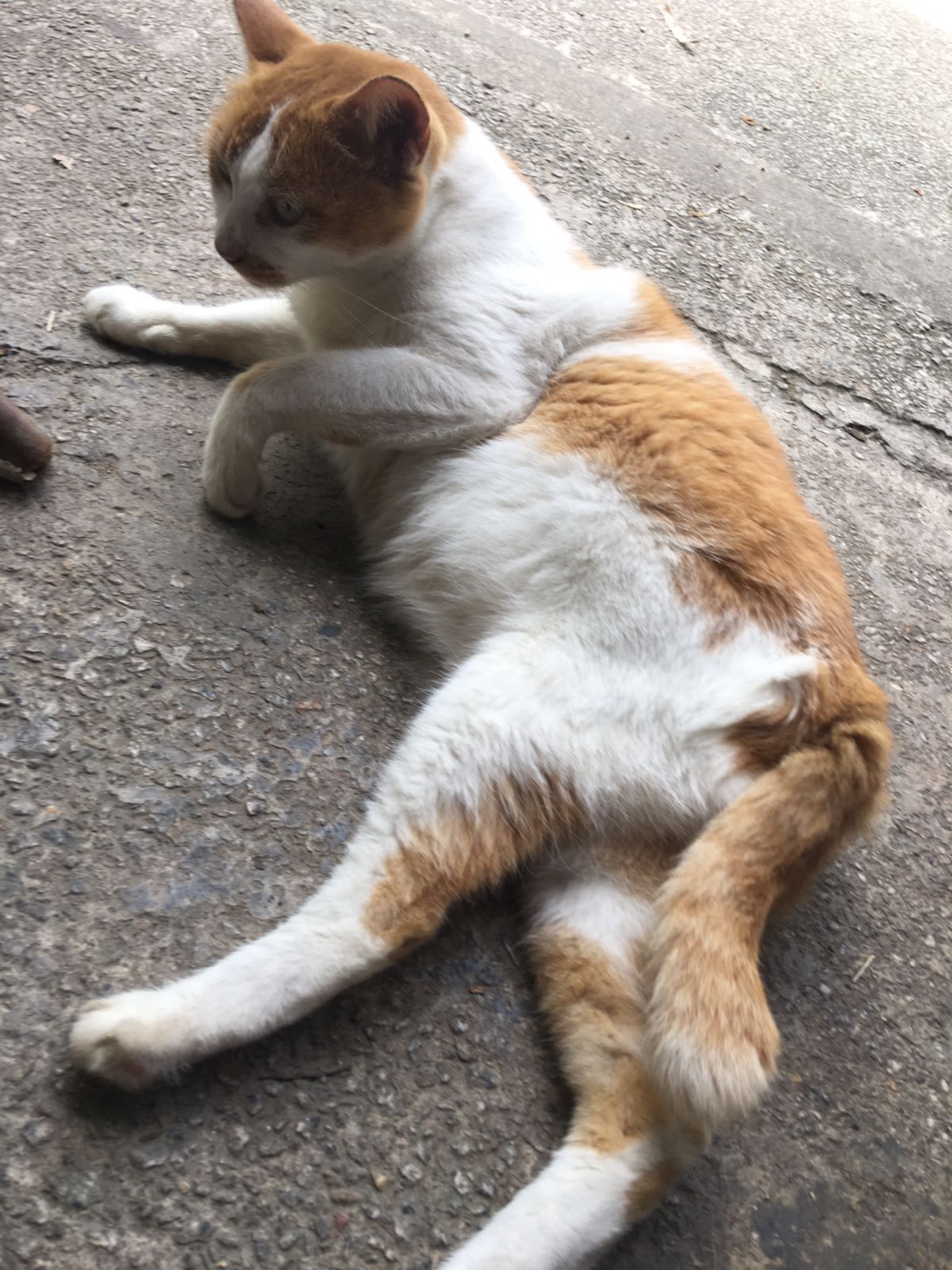 馮小姐四出尋找阿妹,可惜苦無回音。(圖片由受訪者提供) 馮小姐四出尋找阿妹,可惜苦無回音。(圖片由受訪者提供)