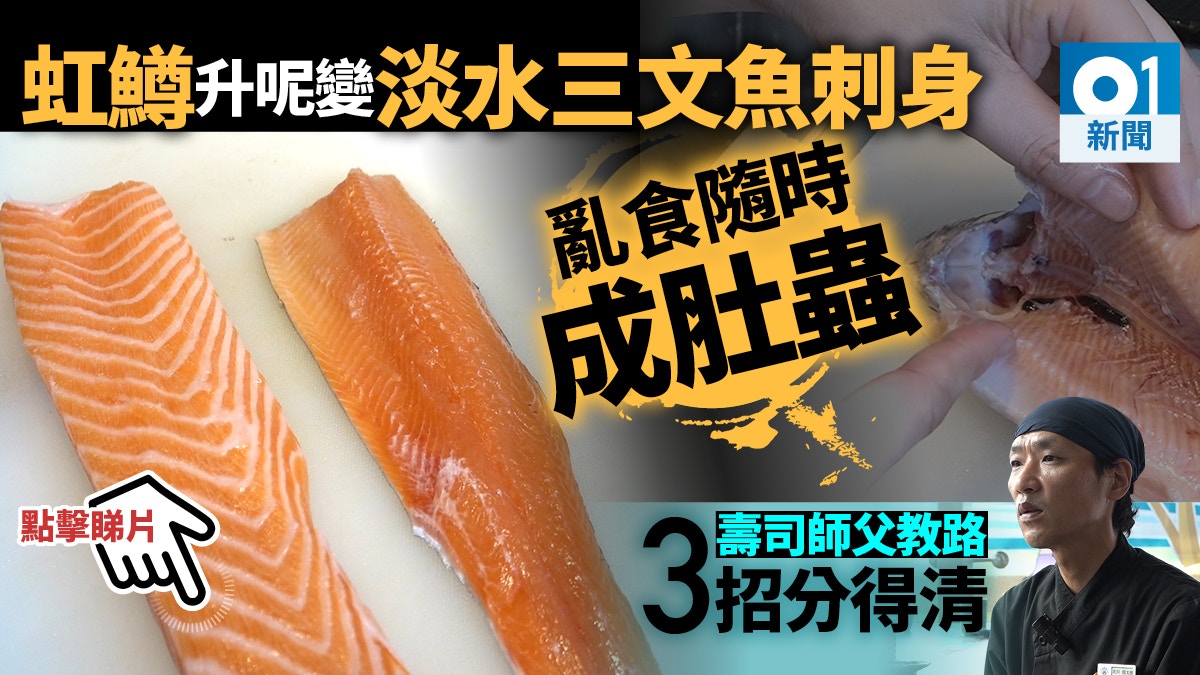 內地倡淡水虹鱒列入三文魚日本壽司師父教港人如何分辨
