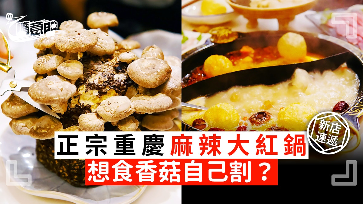 灣仔 麻辣火鍋 全港首間獨家供應收割香菇吃重慶火鍋