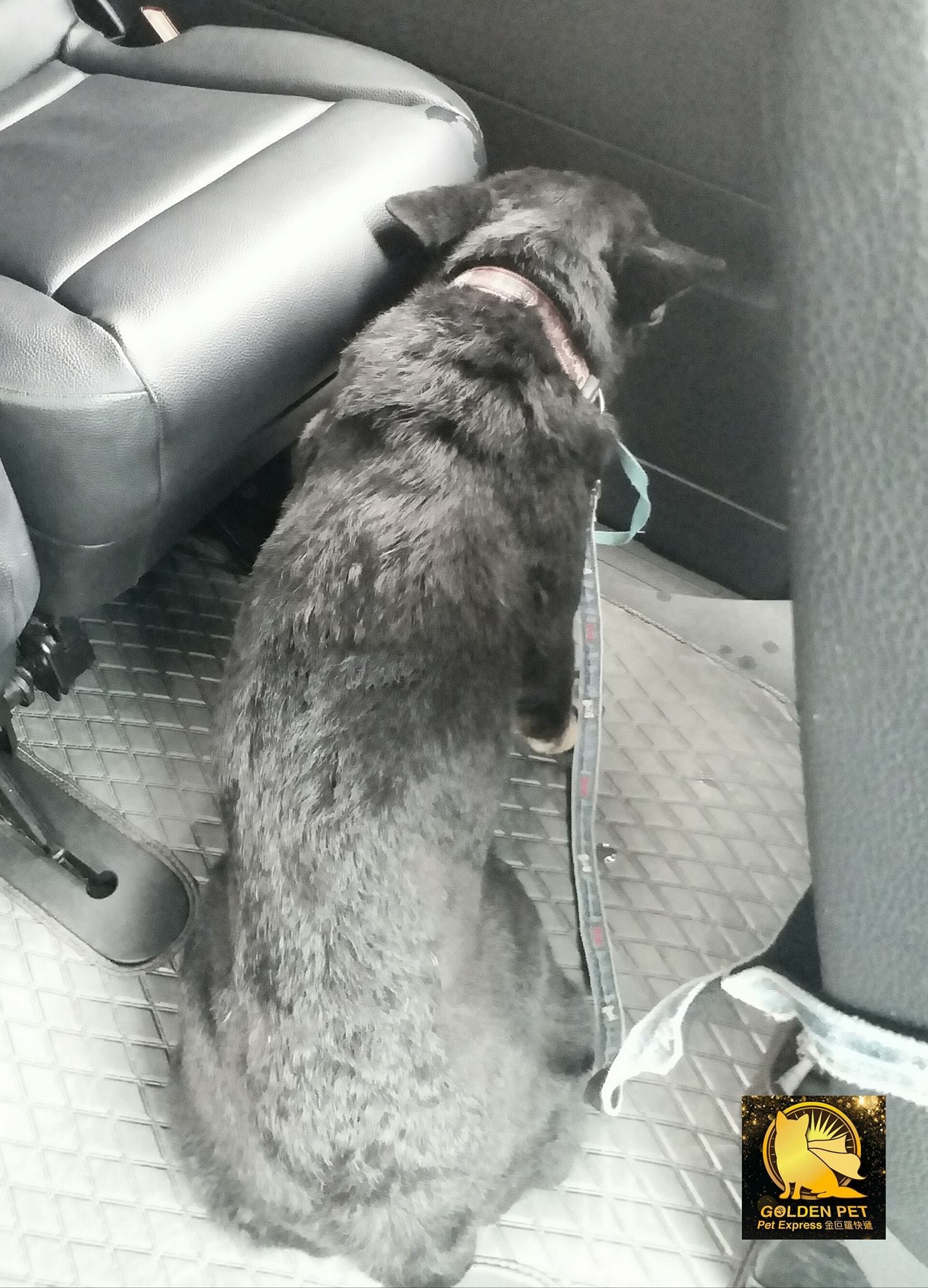 公司負責人霖仔表示完全感受到Harry沮喪的心情。(Facebook:金叵羅快遞) 公司負責人霖仔表示完全感受到Harry沮喪的心情。(Facebook:金叵羅快遞)