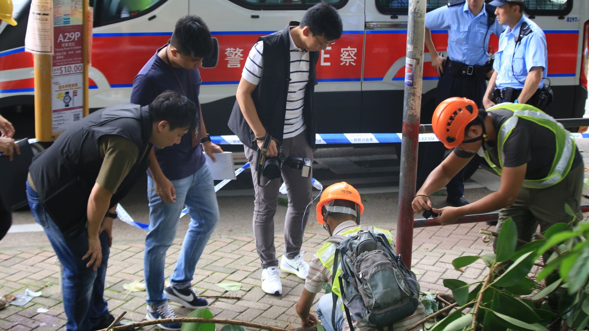 【塌樹殺人】順利邨擊斃印傭樹枝 疑受真菌感染 專家倡設樹木法 【塌樹殺人】順利邨擊斃印傭樹枝 疑受真菌感染 專家倡設樹木法