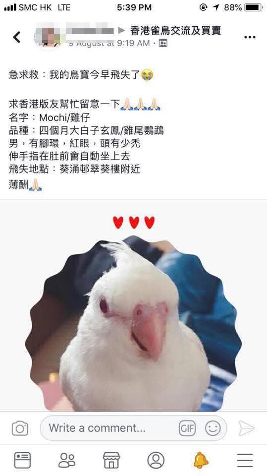 Sally於Facebook發文尋鳥。(受訪者提供) Sally於Facebook發文尋鳥。(受訪者提供)