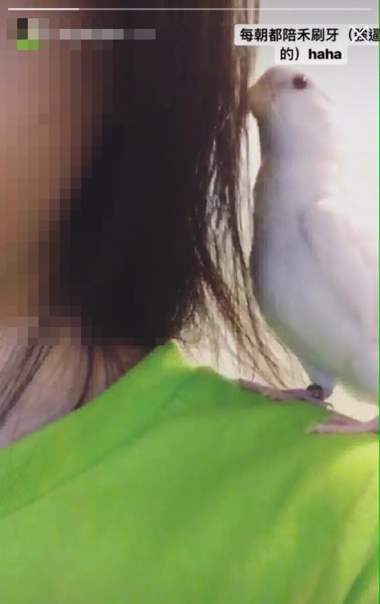 Sally和Mochi的生活照。(受訪者提供) Sally和Mochi的生活照。(受訪者提供)