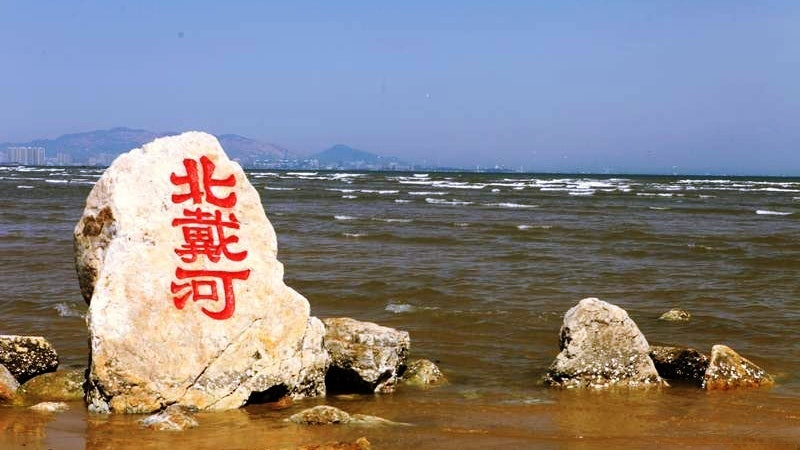 【中美貿易戰】德媒:北戴河之後 中國決心確保國內經濟騰飛 【中美貿易戰】德媒:北戴河之後 中國決心確保國內經濟騰飛