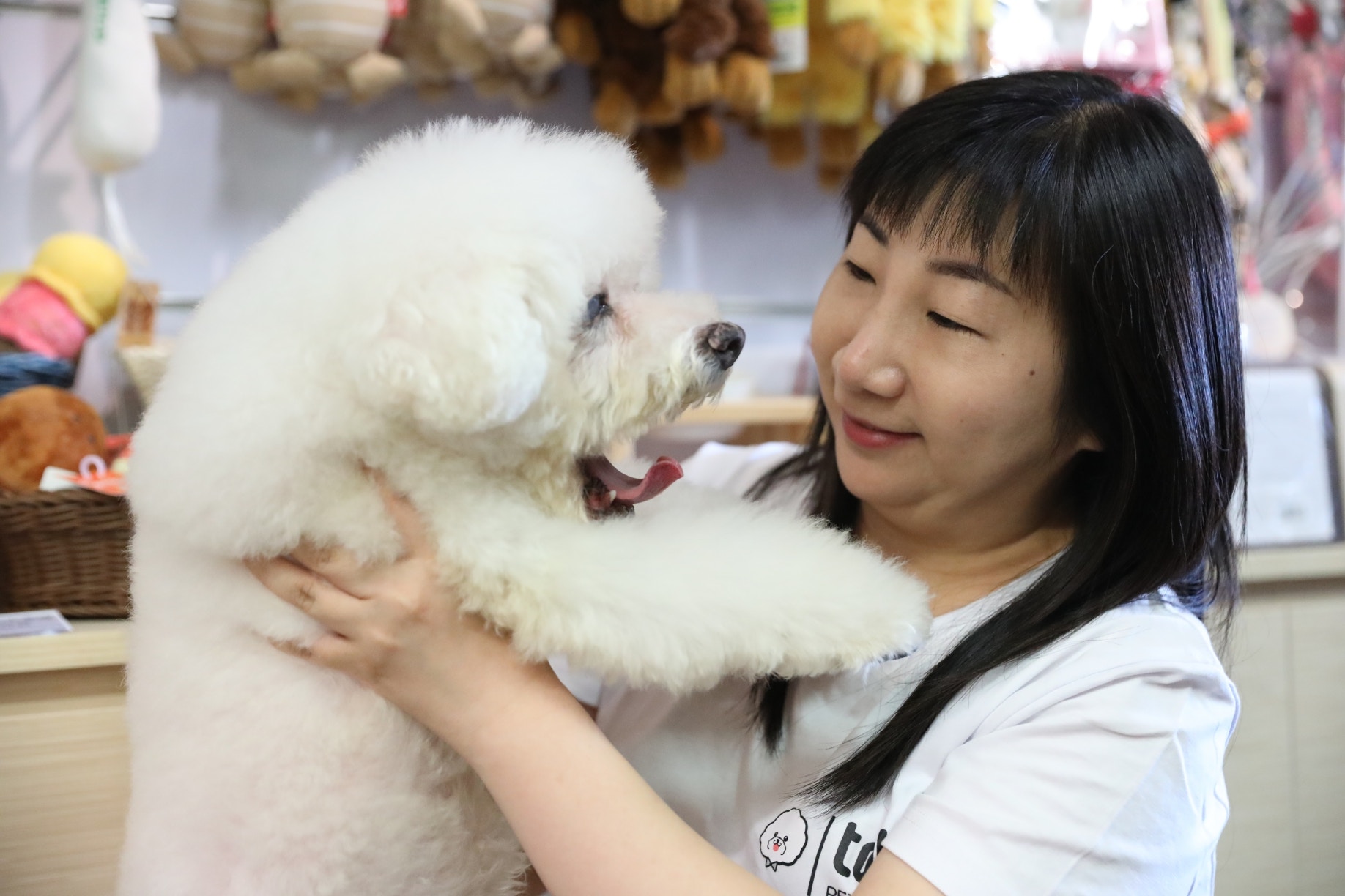 六年前狗主Edith的狗狗Toby因後腿韌帶斷裂導致行動不便,再加上港島區針對狗狗的水療中心的地方貧乏,因此她把心一橫放賣自己的樓房,並決定獨力經營自己的狗狗水療中心。(鄧偉傑攝) 六年前狗主Edith的狗狗Toby因後腿韌帶斷裂導致行動不便,再加上港島區針對狗狗的水療中心的地方貧乏,因此她把心一橫放賣自己的樓房,並決定獨力經營自己的狗狗水療中心。(鄧偉傑攝)