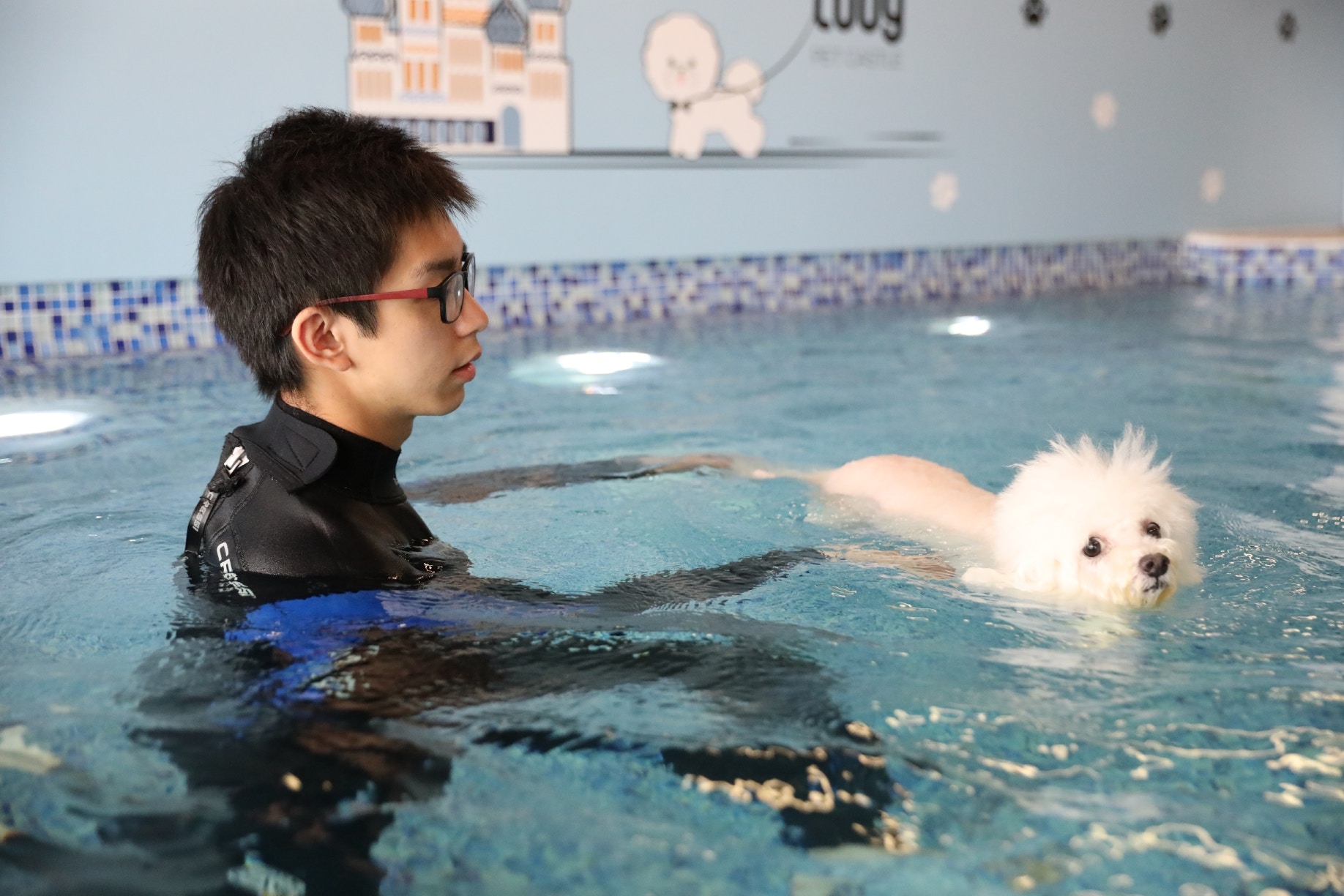 Edith希望將Toby的愛分享到至其他狗狗,如等待被領養或者在街上流浪的狗狗。(鄧偉傑攝) Edith希望將Toby的愛分享到至其他狗狗,如等待被領養或者在街上流浪的狗狗。(鄧偉傑攝)