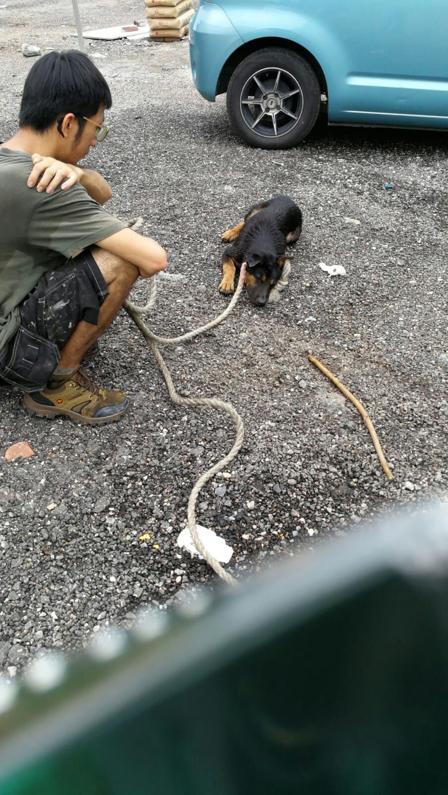 狗狗獲救後對人有敵意。(受訪者提供) 狗狗獲救後對人有敵意。(受訪者提供)