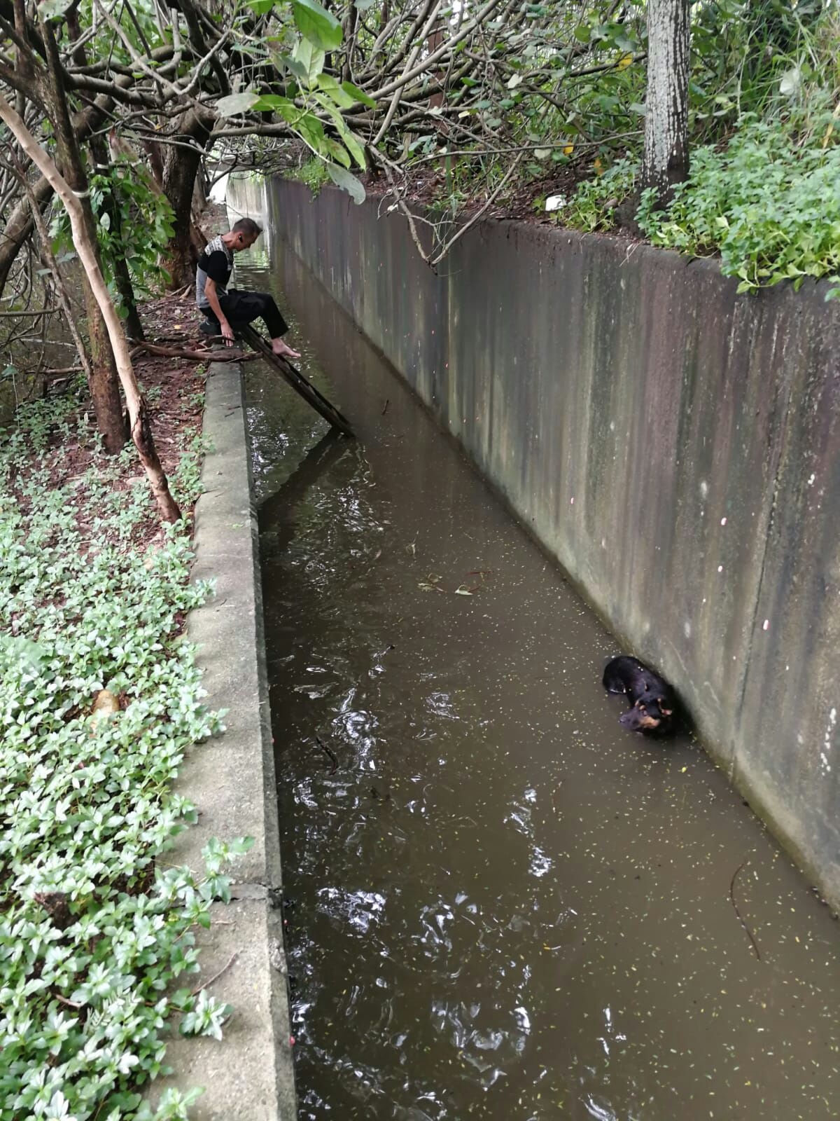 義工不惜下水,只為救起狗狗。(受訪者提供) 義工不惜下水,只為救起狗狗。(受訪者提供)