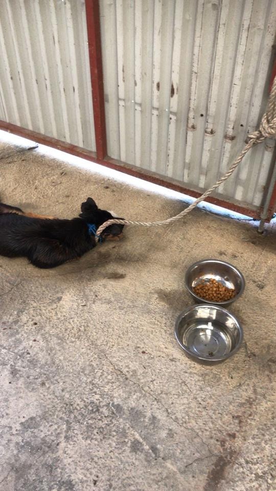 (受訪者提供) (受訪者提供)