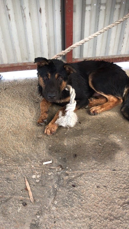 (受訪者提供) (受訪者提供)