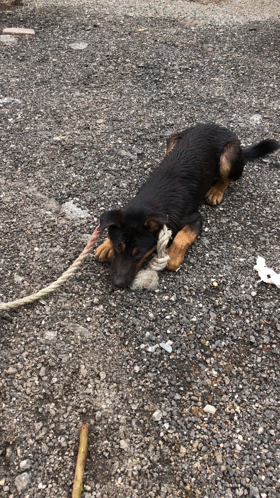 (受訪者提供) (受訪者提供)