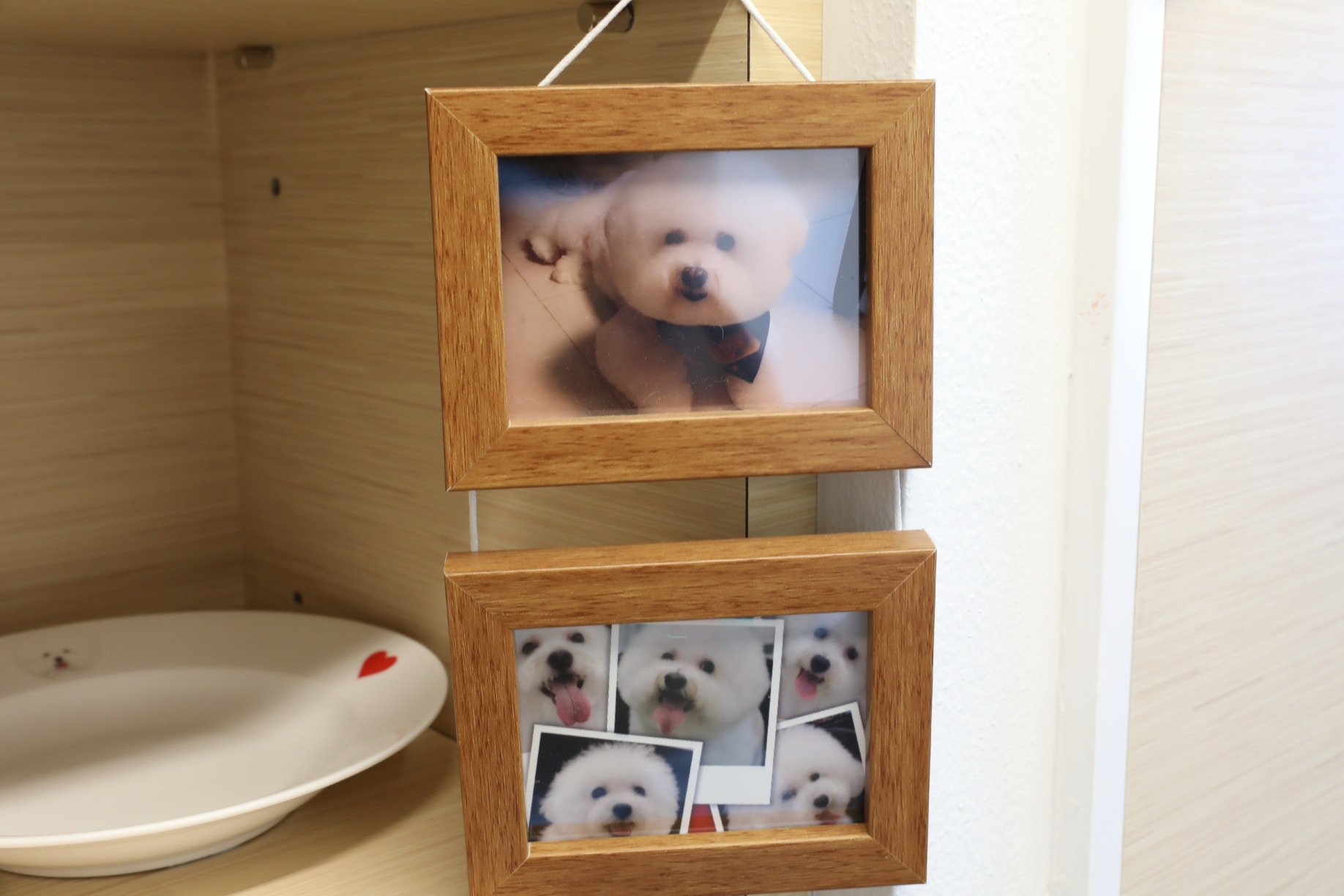 (鄧偉傑攝) (鄧偉傑攝)