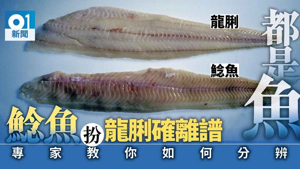 瓜衫當紅衫情有可原？　鯰魚當龍脷最離譜　魚類專家教你如何分辨