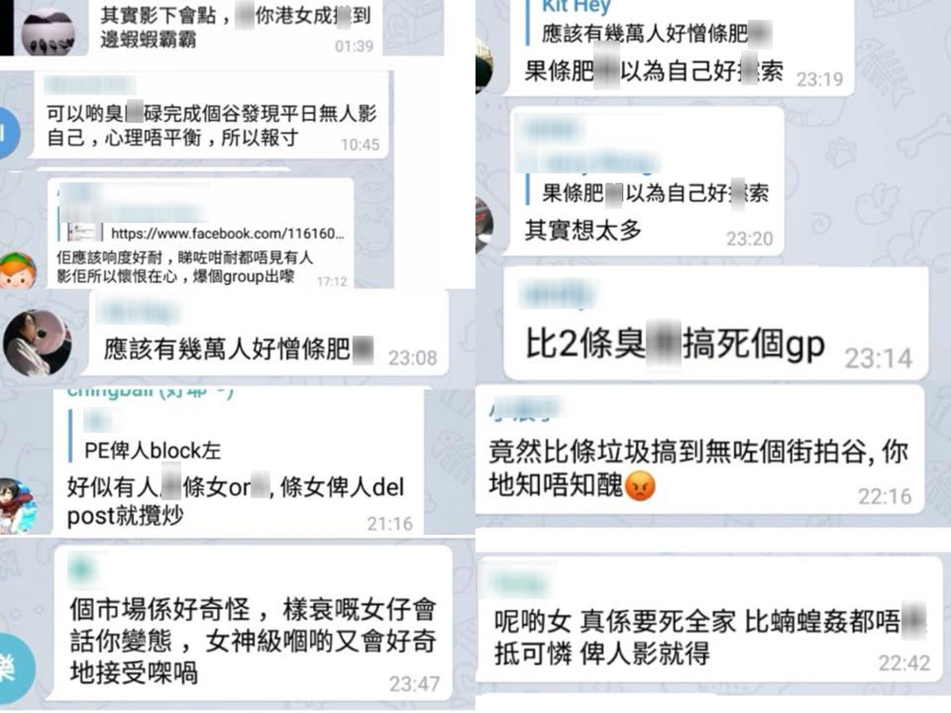 Emilia 揭發偷拍群組後,反被攻擊。(受訪者提供) Emilia 揭發偷拍群組後,反被攻擊。(受訪者提供)