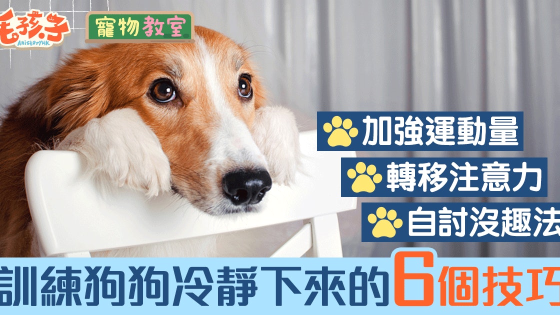 【狗‧訓練】狗狗吠叫不停不了? 6招有效讓狗狗安靜下來的辦法 【狗‧訓練】狗狗吠叫不停不了? 6招有效讓狗狗安靜下來的辦法