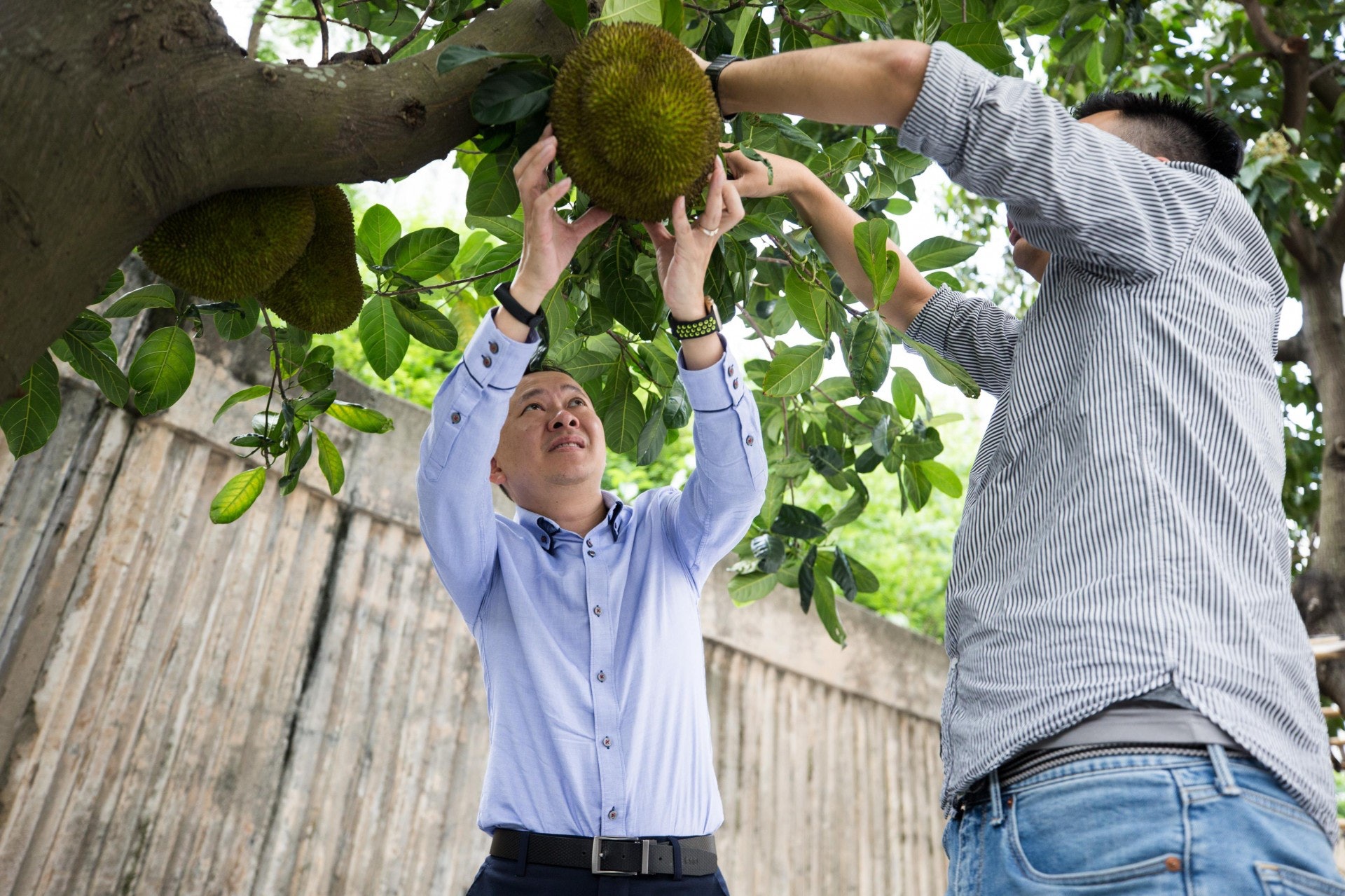 (梁鵬威攝) (梁鵬威攝)