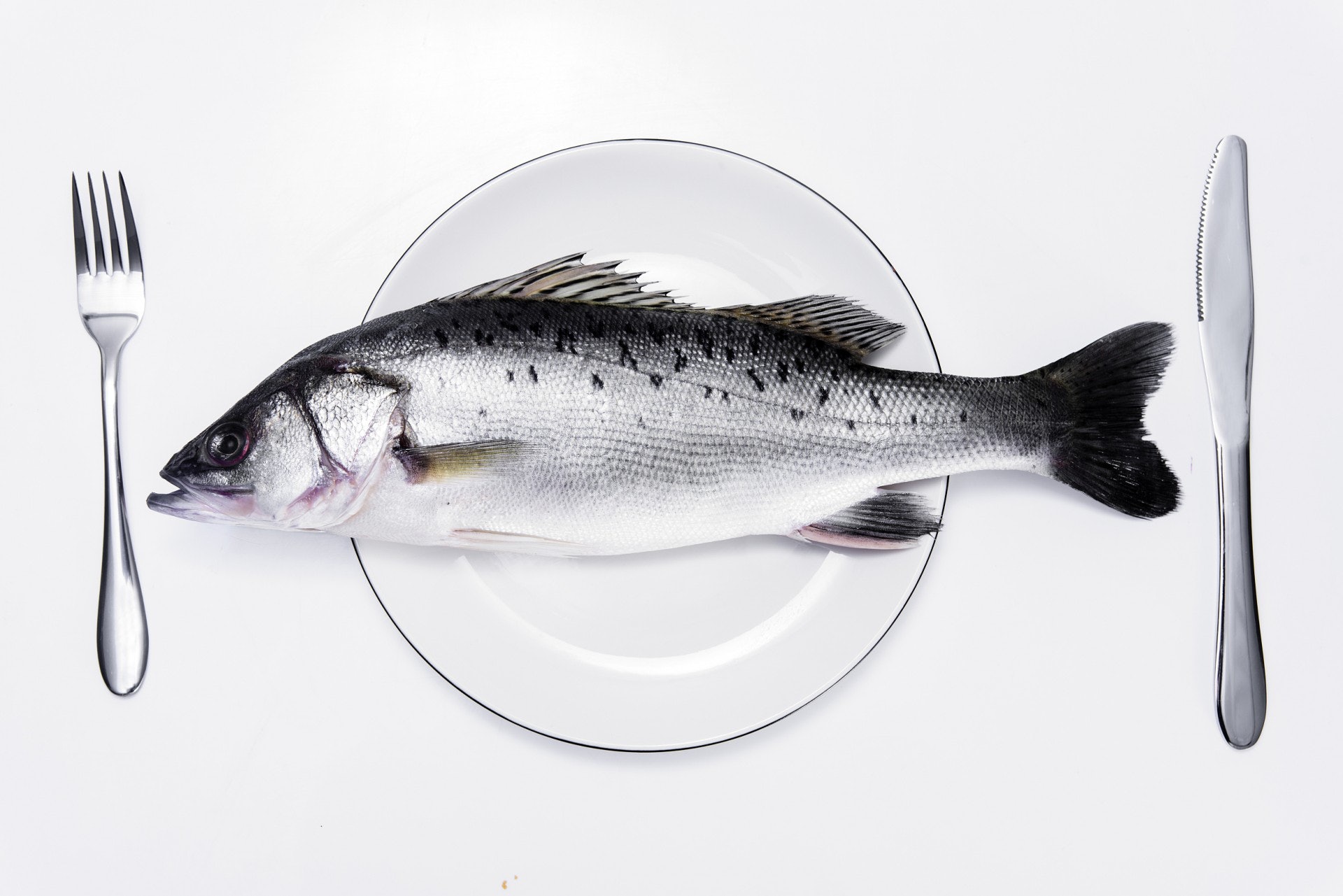 動物x 哲學 以魚傳情的密語 從生殖崇拜到吉祥寓意 動物x 哲學 以魚傳情的密語 從生殖崇拜到吉祥寓意