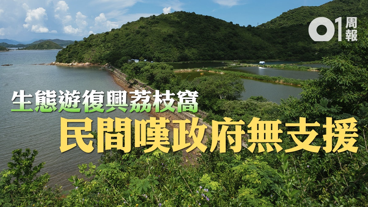 生態旅遊 上 荔枝窩保育漸見起色居民慨嘆 單打獨鬥 香港01 社會新聞 生態旅遊 上 荔枝窩保育漸見起色居民慨嘆 單打獨鬥 香港01 社會新聞