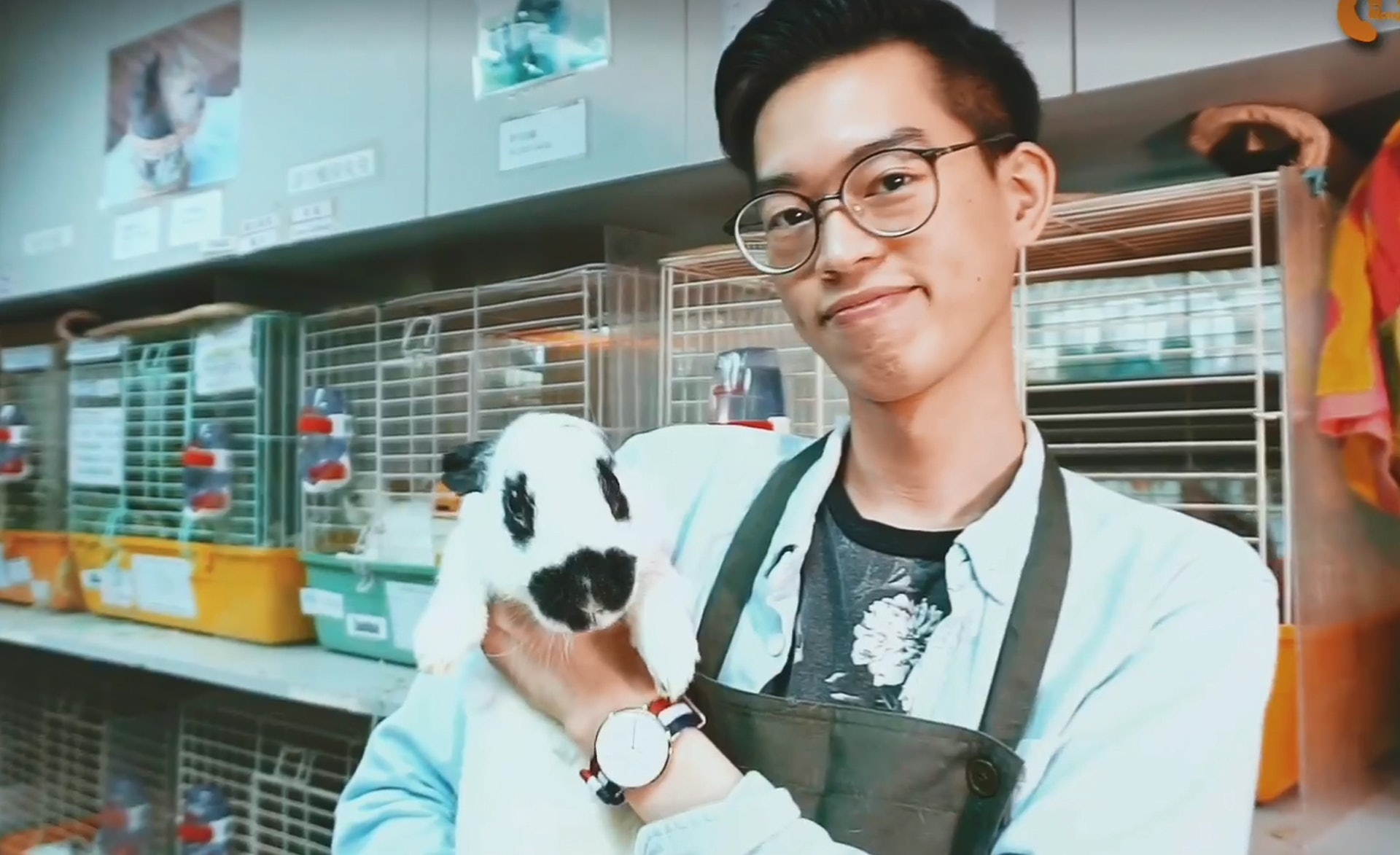 兔協男職員在影片中抱兔。(香港兔友協會影片截圖) 兔協男職員在影片中抱兔。(香港兔友協會影片截圖)