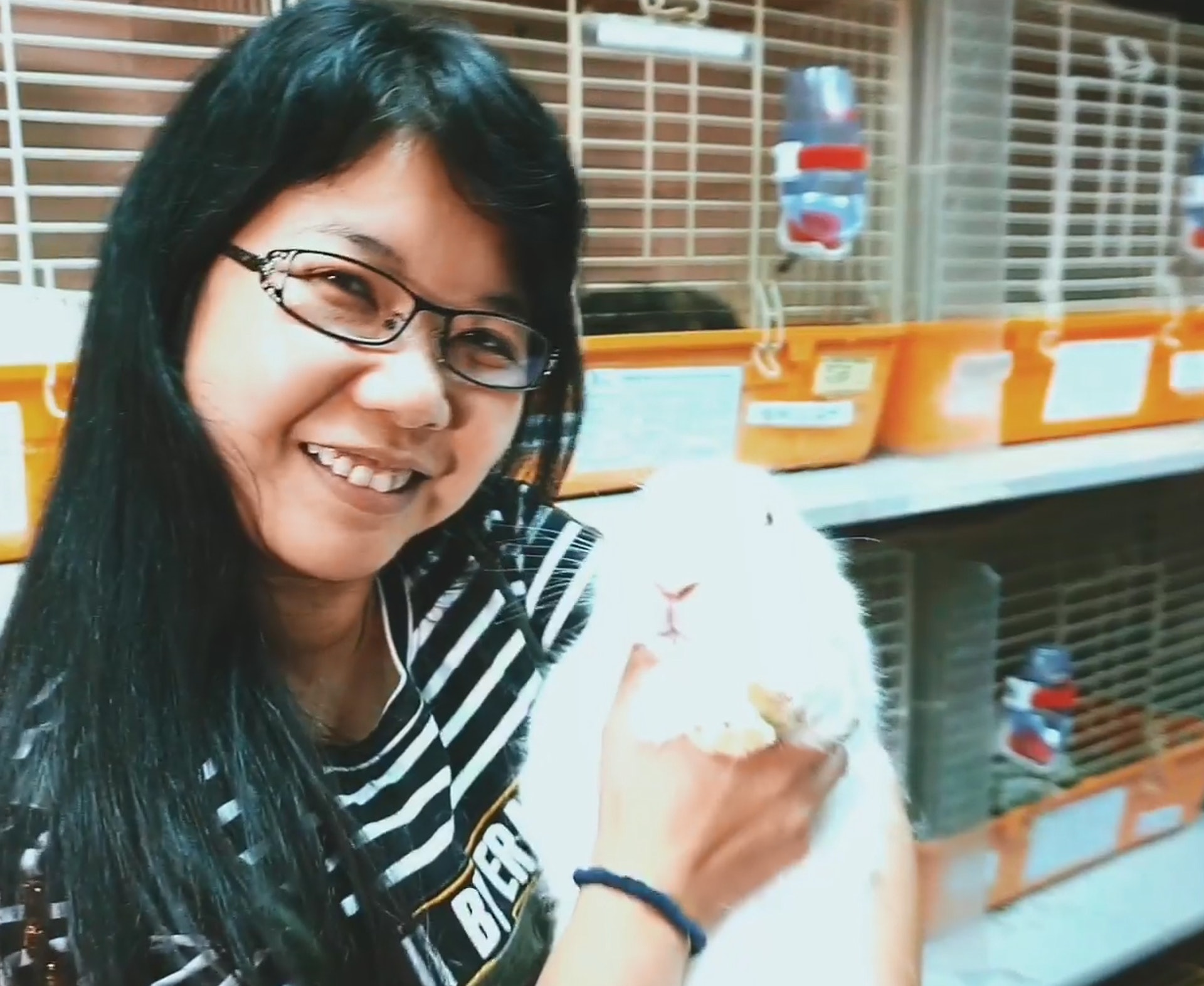 Shirley在影片中抱兔。(香港兔友協會影片截圖) Shirley在影片中抱兔。(香港兔友協會影片截圖)