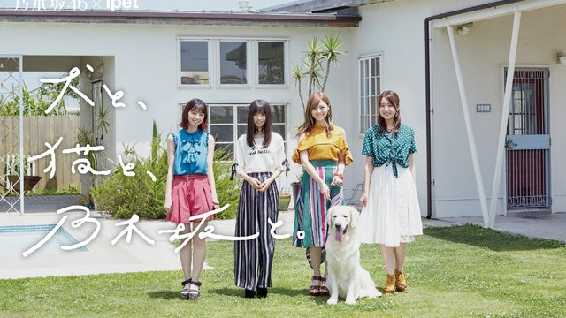 乃木坂46 白石麻衣齋藤飛鳥拍攝寵物廣告可愛預告引人期待 香港01 遊戲動漫 乃木坂46 白石麻衣齋藤飛鳥拍攝寵物廣告可愛預告引人期待 香港01 遊戲動漫