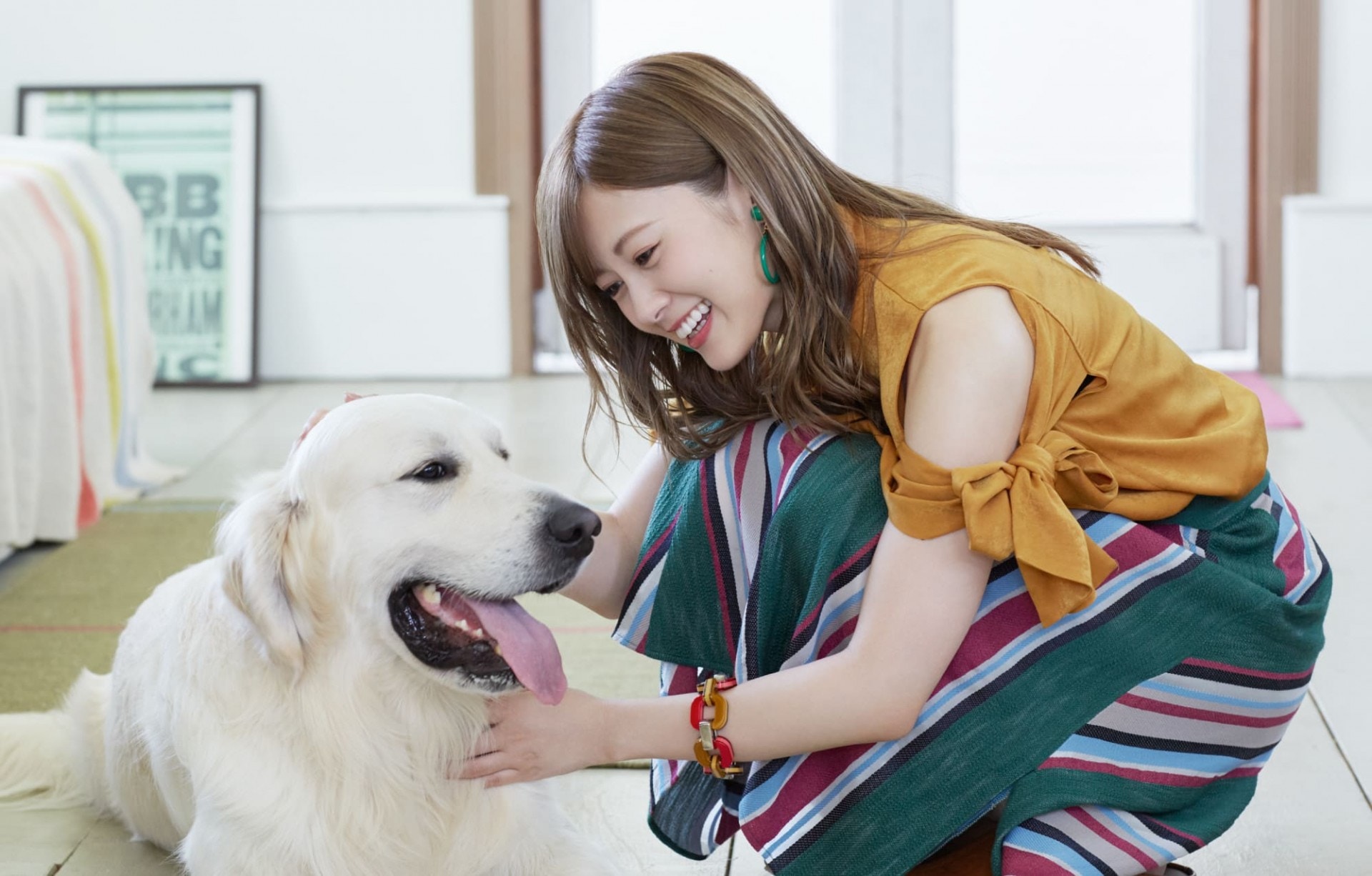 乃木坂46 白石麻衣齋藤飛鳥拍攝寵物廣告可愛預告引人期待