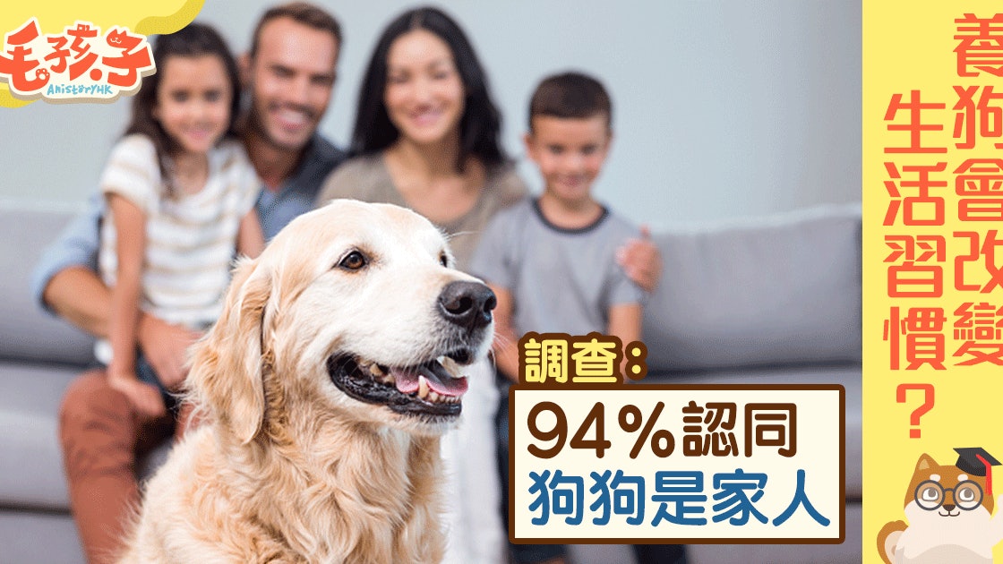 【養狗前後大不同】放假不去旅行? 伴侶一定要愛狗? 【養狗前後大不同】放假不去旅行? 伴侶一定要愛狗?