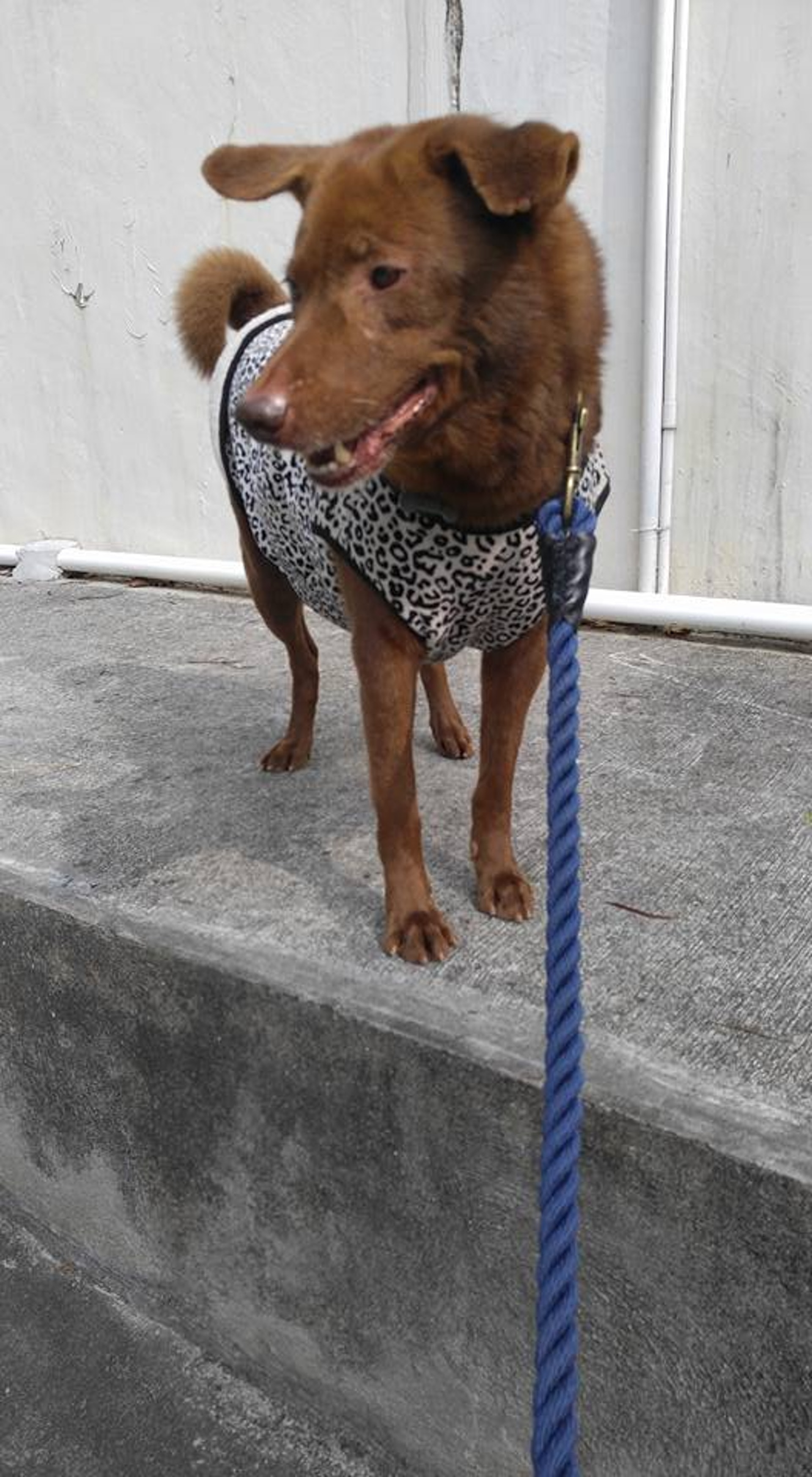 (受訪者提供) (受訪者提供)