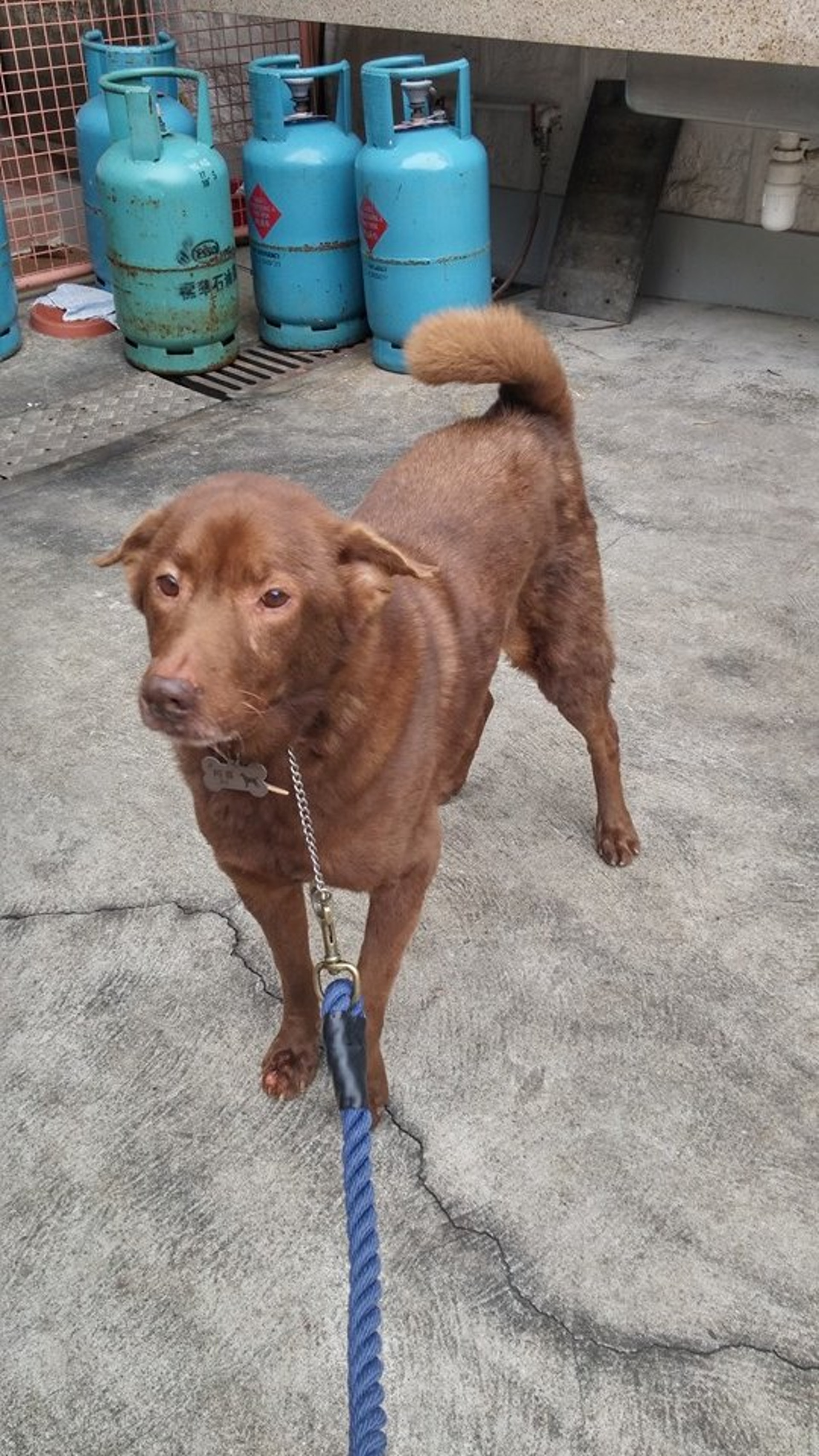 (受訪者提供) (受訪者提供)