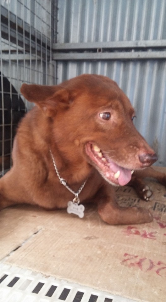 (受訪者提供) (受訪者提供)