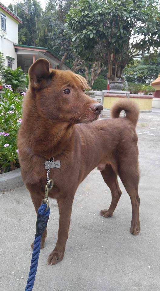 (受訪者提供) (受訪者提供)