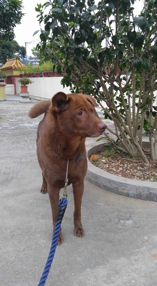 (受訪者提供) (受訪者提供)